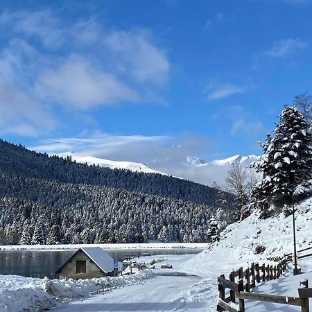 Gite Du Montagnol A Payolle แซงต์-มารี-เดอ-กอมปอง ภายนอก รูปภาพ