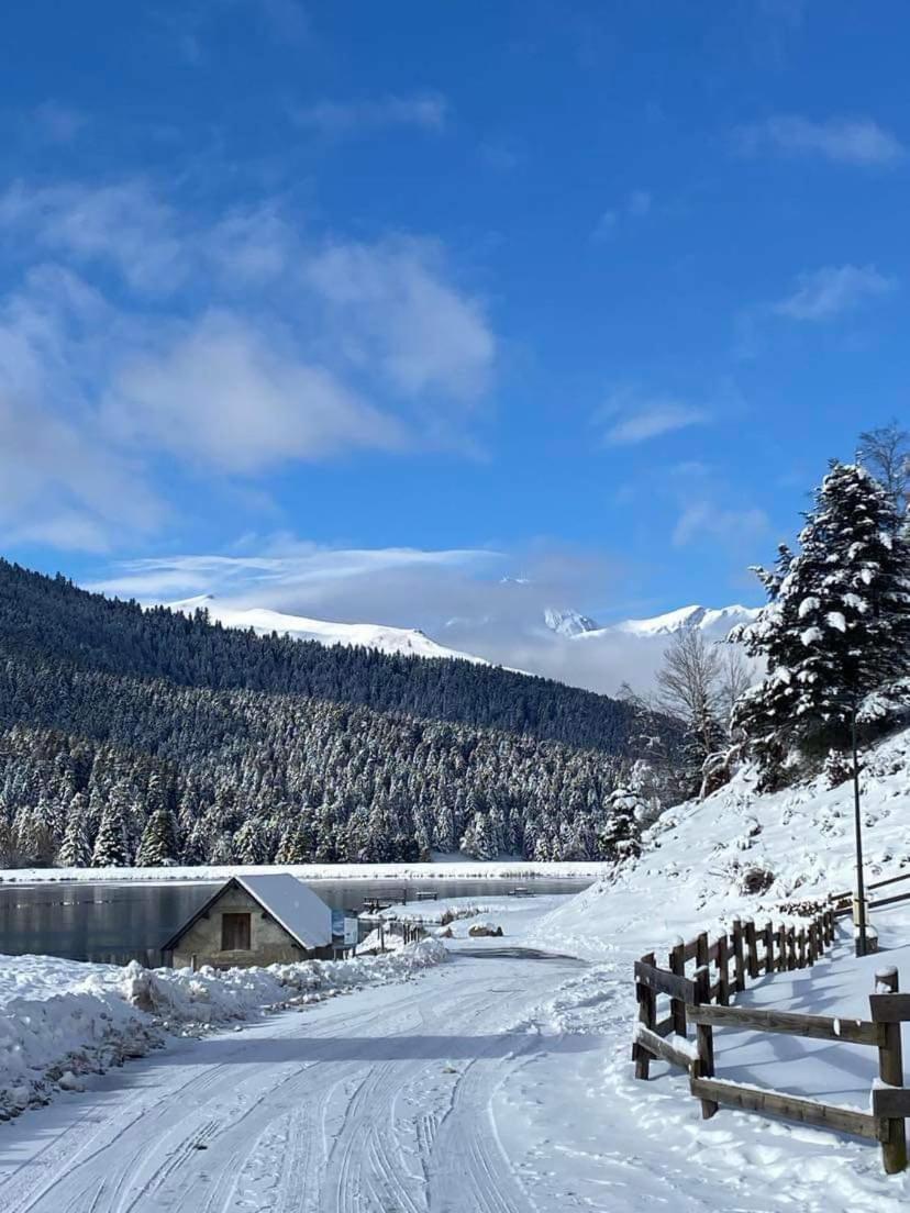 Gite Du Montagnol A Payolle แซงต์-มารี-เดอ-กอมปอง ภายนอก รูปภาพ
