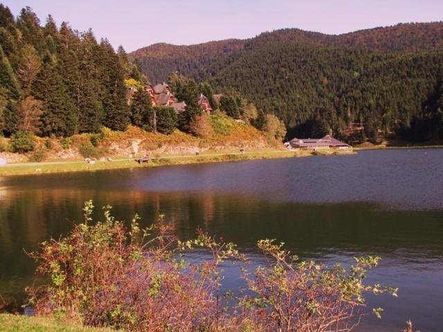 Gite Du Montagnol A Payolle แซงต์-มารี-เดอ-กอมปอง ภายนอก รูปภาพ