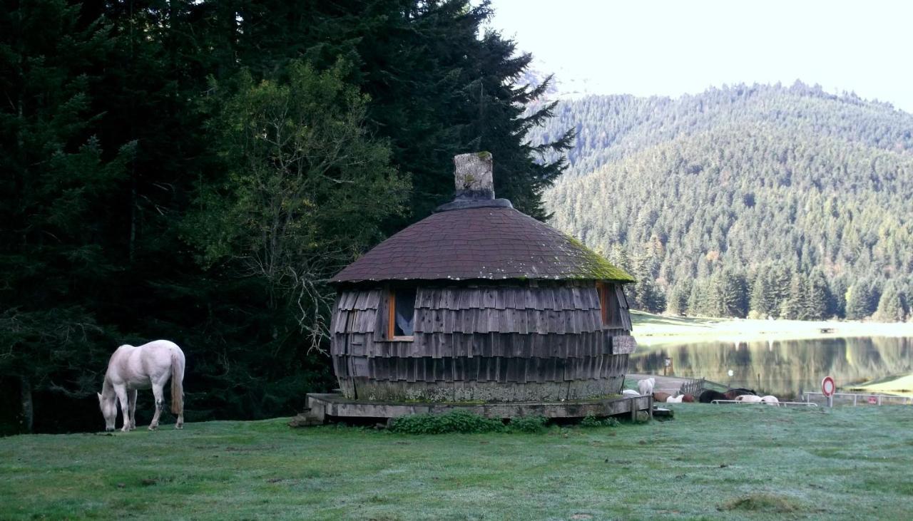 Gite Du Montagnol A Payolle แซงต์-มารี-เดอ-กอมปอง ภายนอก รูปภาพ