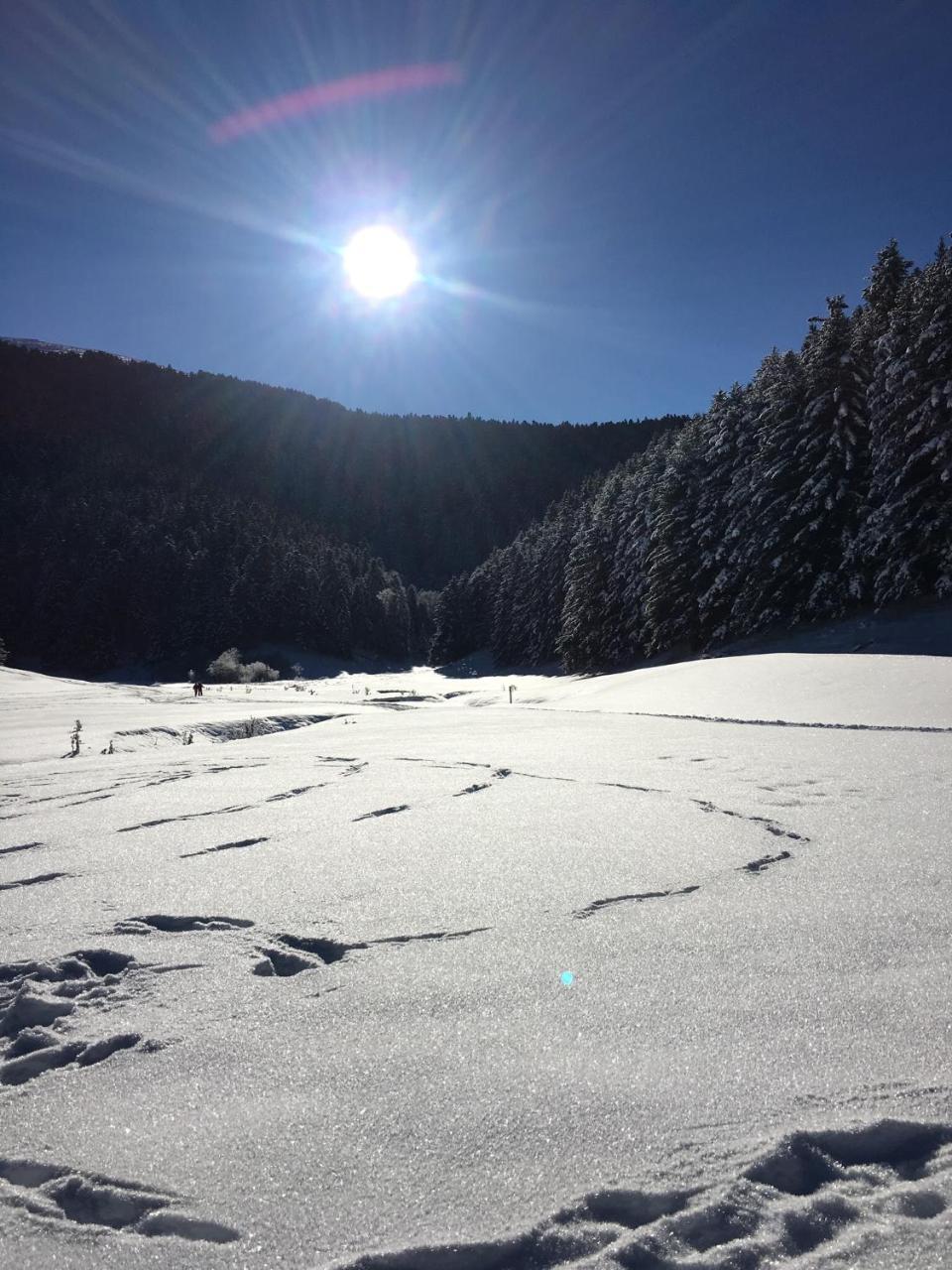 Gite Du Montagnol A Payolle แซงต์-มารี-เดอ-กอมปอง ภายนอก รูปภาพ
