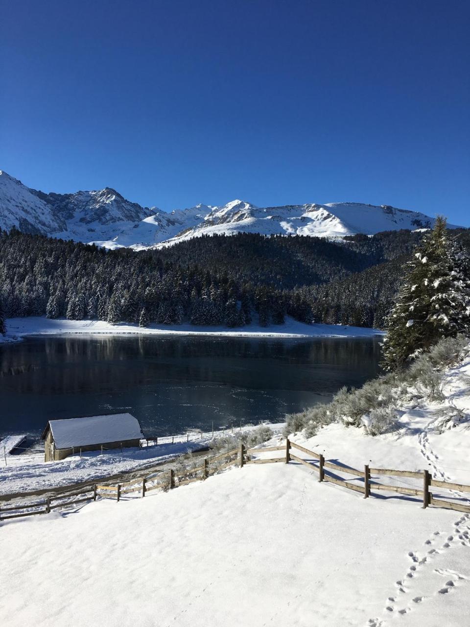 Gite Du Montagnol A Payolle แซงต์-มารี-เดอ-กอมปอง ภายนอก รูปภาพ